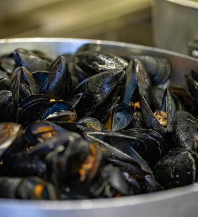 Cozze cotte in una pentola, pronte per essere servite come piatto di mare.